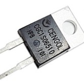 Диод CGC1S06510 (TO-220-2)