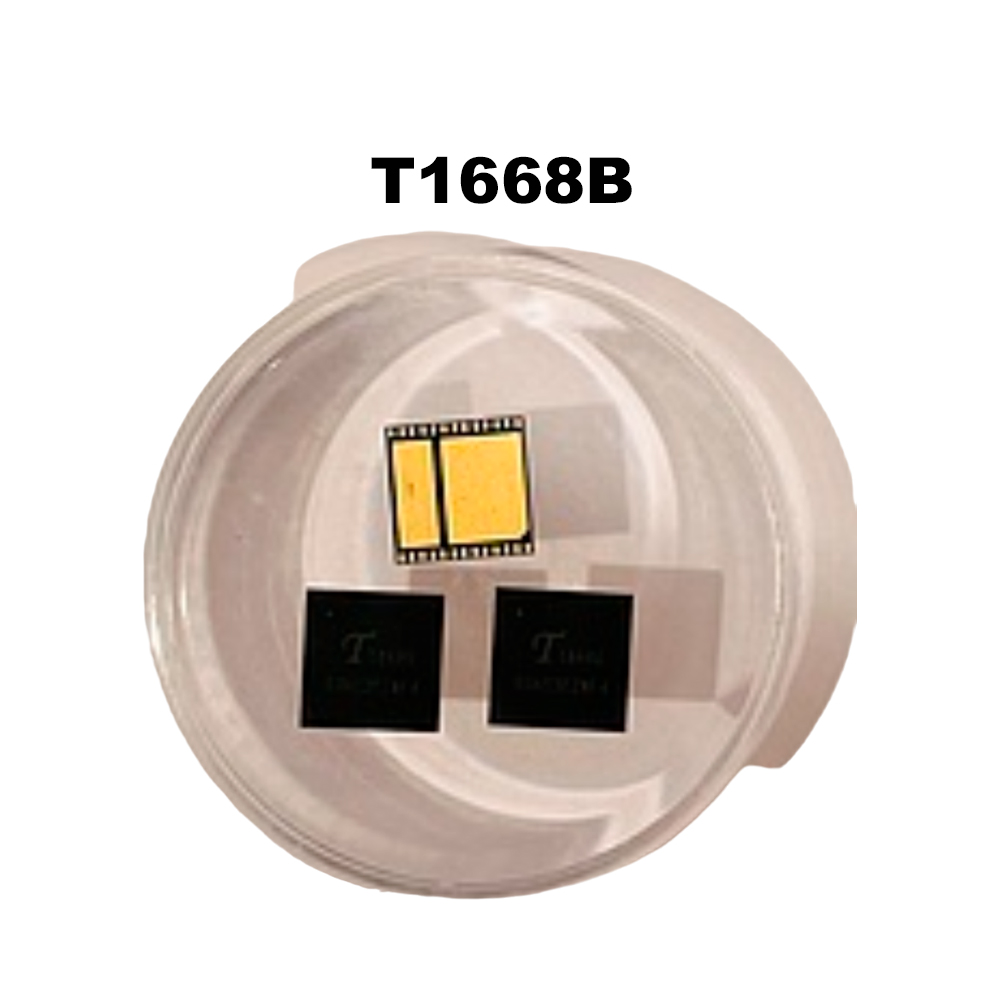 Чип T1668B