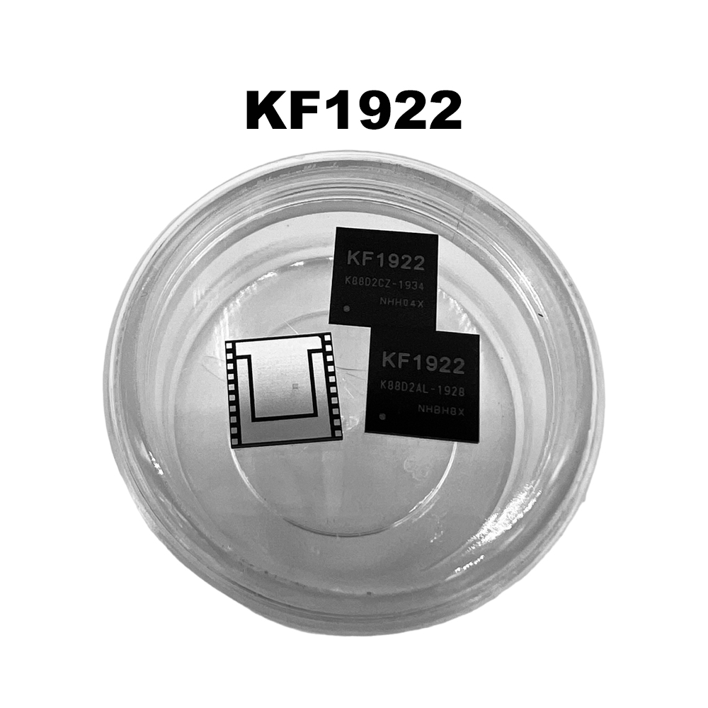 Чип KF1922