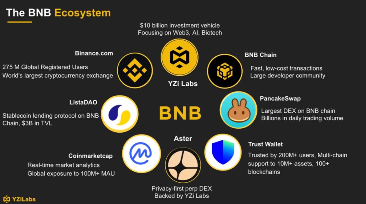 «Сезон мемкоинов» и еще больше денег. Почему растут токены в сети BNB