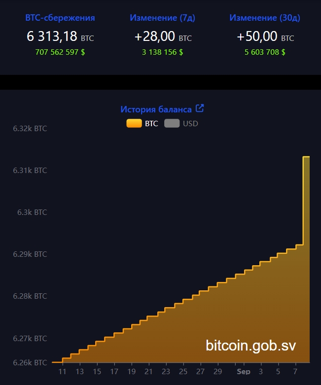 Криптокошелек биткоин-офиса Сальвадора. Источник: bitcoin.gob.sv
