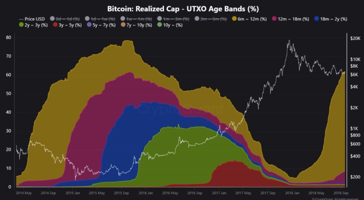 Аналитики выявили попытки искусственного продления цикла роста биткоина Бычий цикл биткоина 2017 года. Источник: CryptoQuant