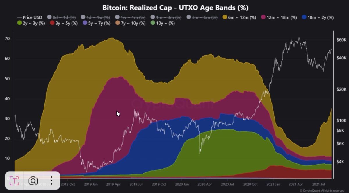 Бычий цикл биткоина 2021 года. Источник: CryptoQuant