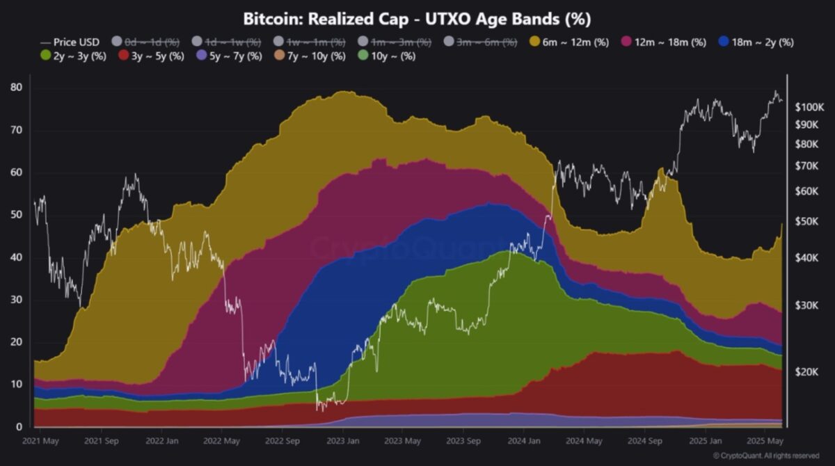 Текущий бычий цикл биткоина 2024-2025годов. Источник: CryptoQuant