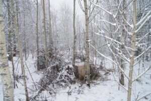 «Лесная» майнинг-ферма обнаружена в Смоленщине под Иркутском