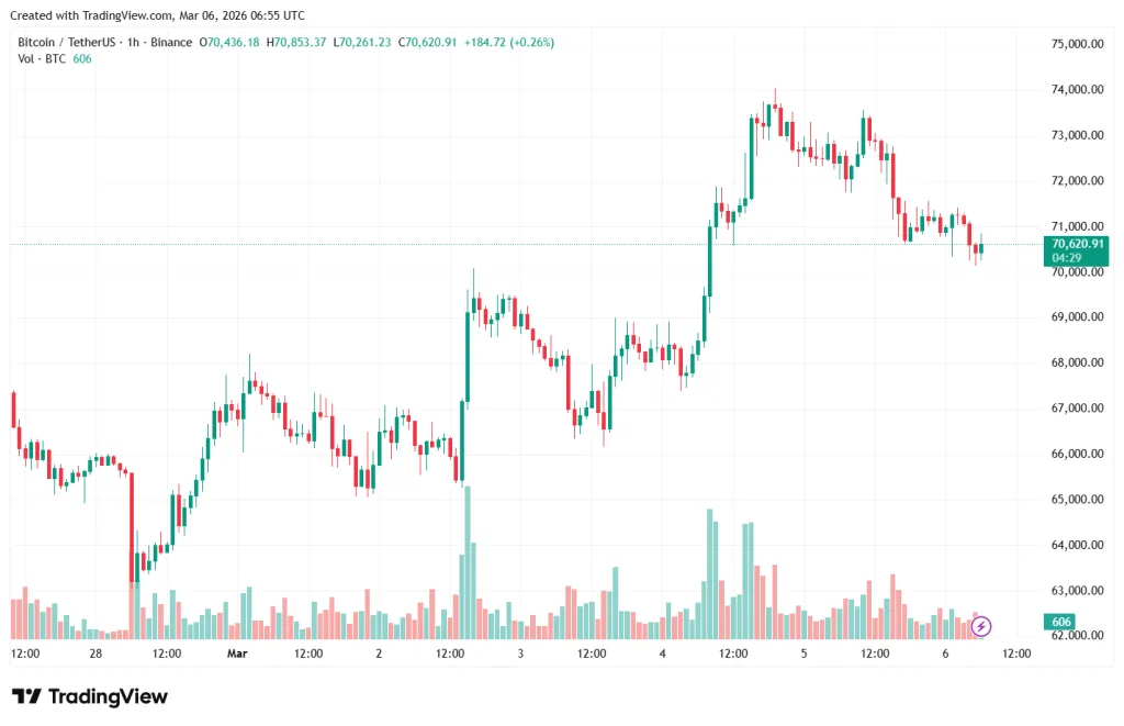 Прыжок дохлой кошки: в CryptoQuant назвали рост биткоина временным BTCUSDT_2026-03-06_09-55-47