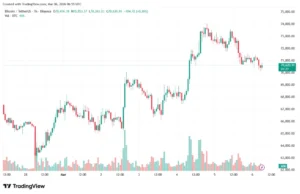 «Прыжок дохлой кошки»: в CryptoQuant назвали рост биткоина временным